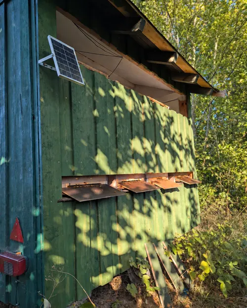 Grüner Bienenwagen aus Holz mit Fluglöchern und Solarmodul am Waldrand